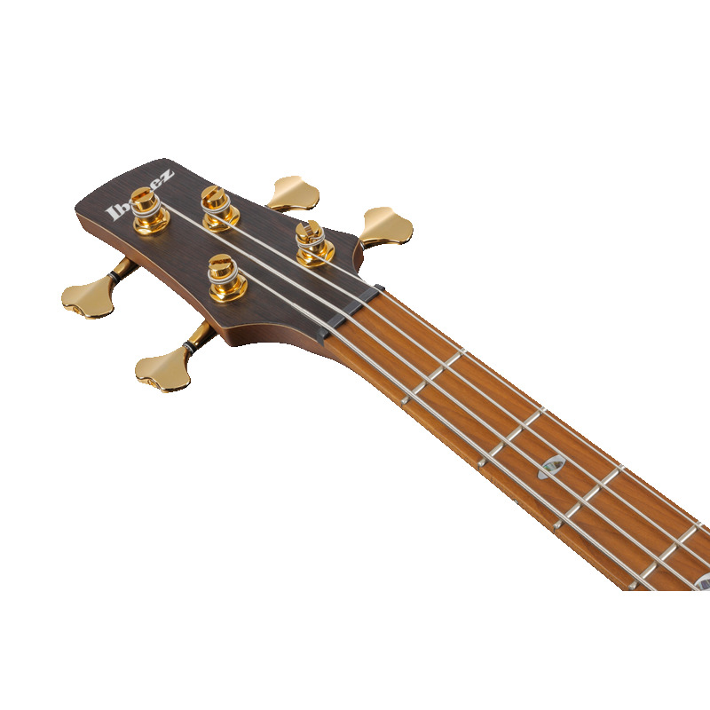 Бас-гитара  IBANEZ SR4500-DST