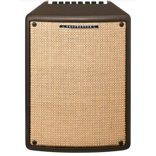 Гітарний комбопідсилювач Ibanez T80II