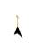 Електрогітара JACKSON PRO SERIES RHOADS RRT-5 GLOSS BLACK