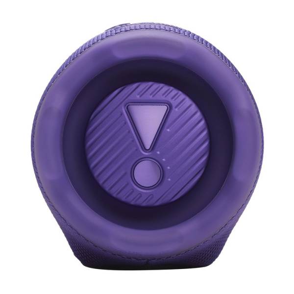 Портативная колонка JBL CHARGE 6 PURP