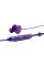 Наушники обычные JBL QUANTUM 50 PURPLE