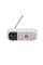 Портативная колонка JBL TUNER 2 WHITE
