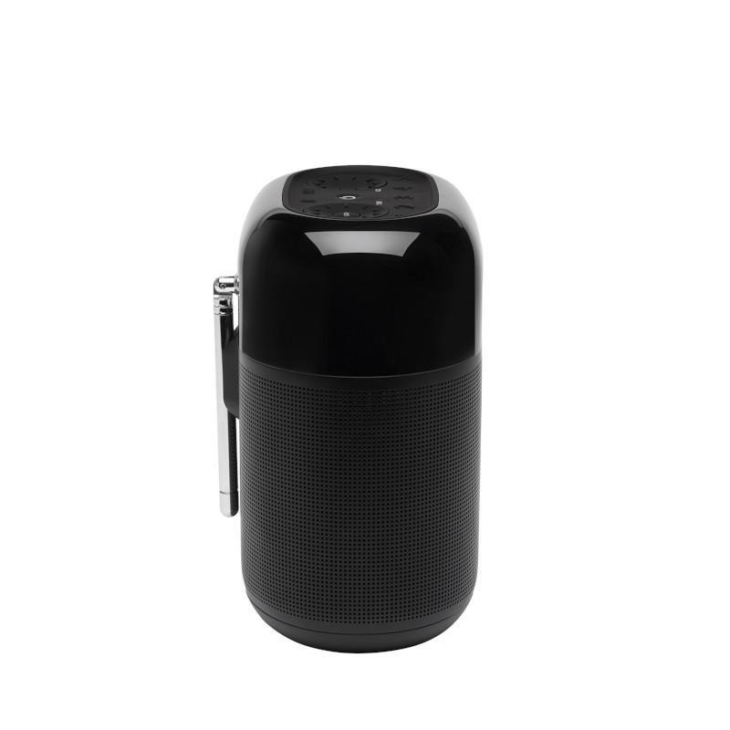 Портативна колонка JBL TUNER XL FM