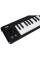 MIDI Клавіатура Korg Microkey2-61AIR MIDI
