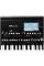 Синтезатор Korg PA300