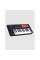 MIDI-клавиатура M-AUDIO Oxygen 25 MK V