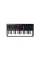 MIDI-клавиатура M-AUDIO Oxygen Pro Mini