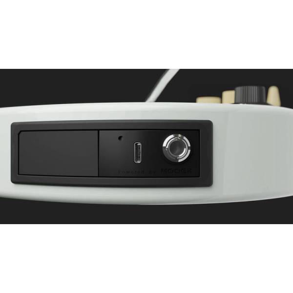 Електрогітара MOOER GTRS Standard S801 (White)