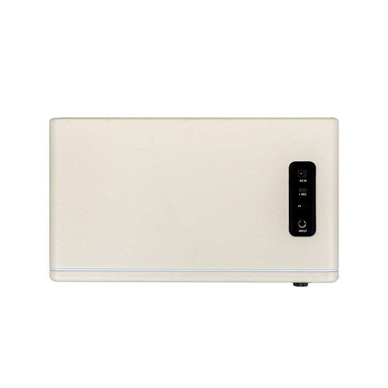 Гітарний комбопідсилювач MOOER Hornet 30i (White)