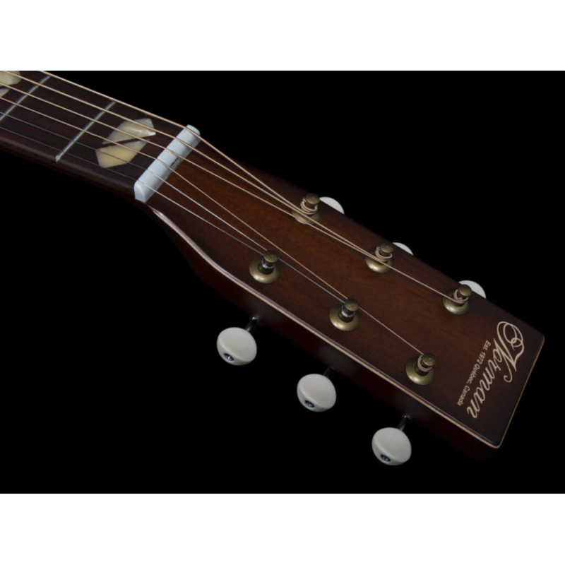 Электроакустическая гитара Norman ST30 MJ Havana Burst