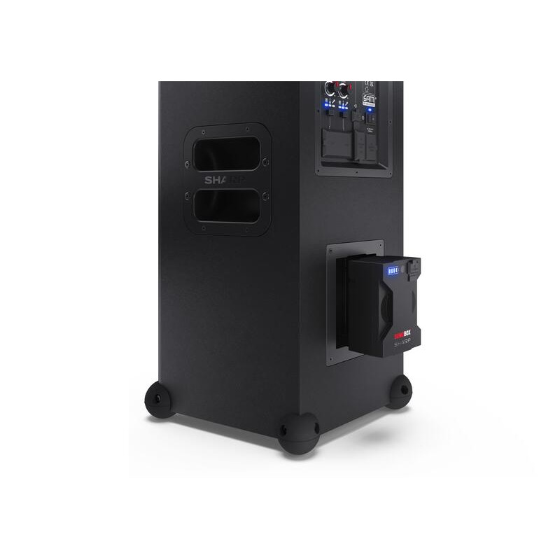 Акустическая система Sharp CP LC100
