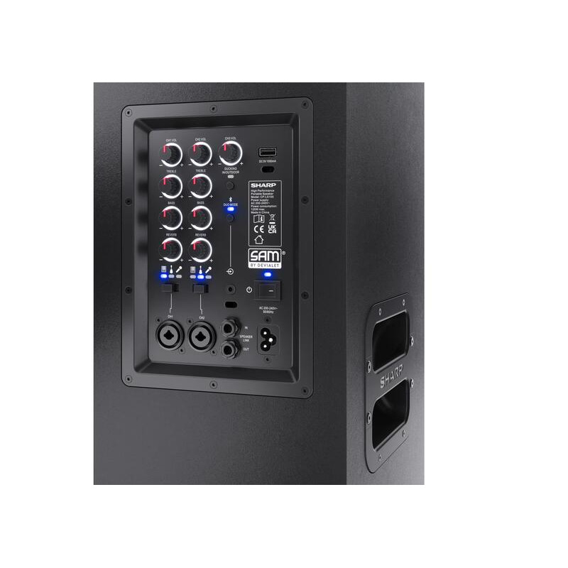 Акустическая система Sharp CP LC100