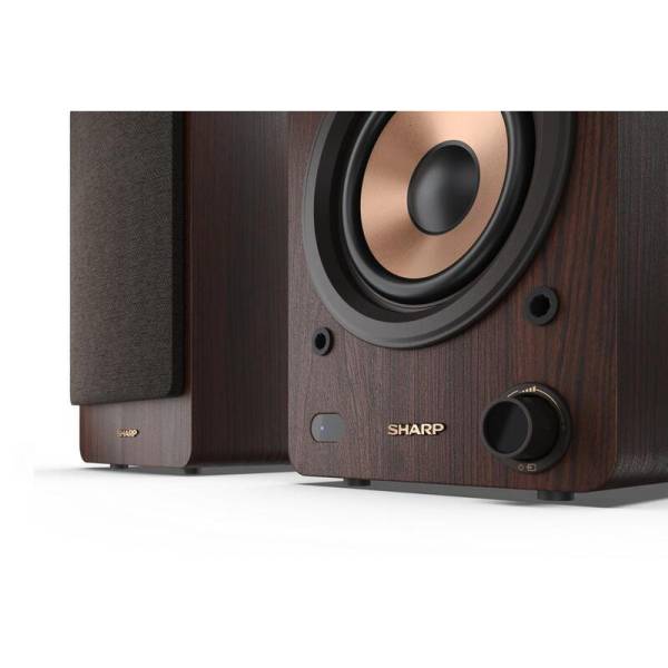 Акустическая система Sharp CP SS30