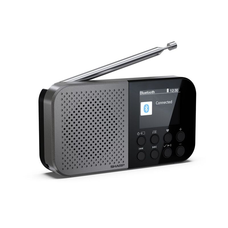 Акустика для дома Sharp DR P420 Grey