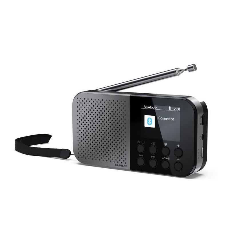 Акустика для дома Sharp DR P420 Grey
