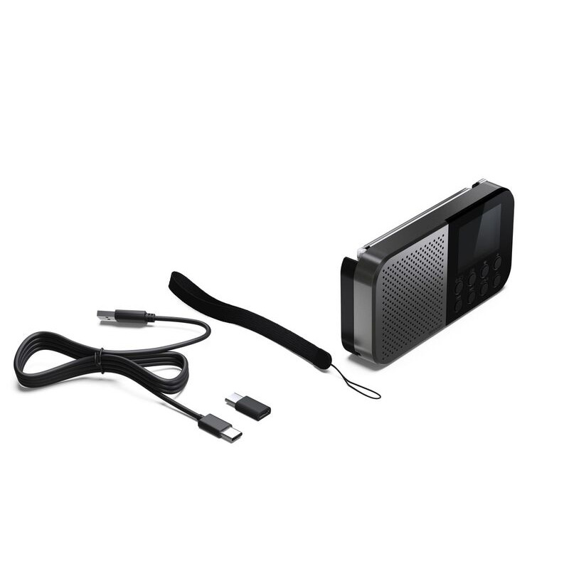 Акустика для дома Sharp DR P420 Grey
