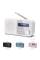Акустика для дому Sharp DR P420 White