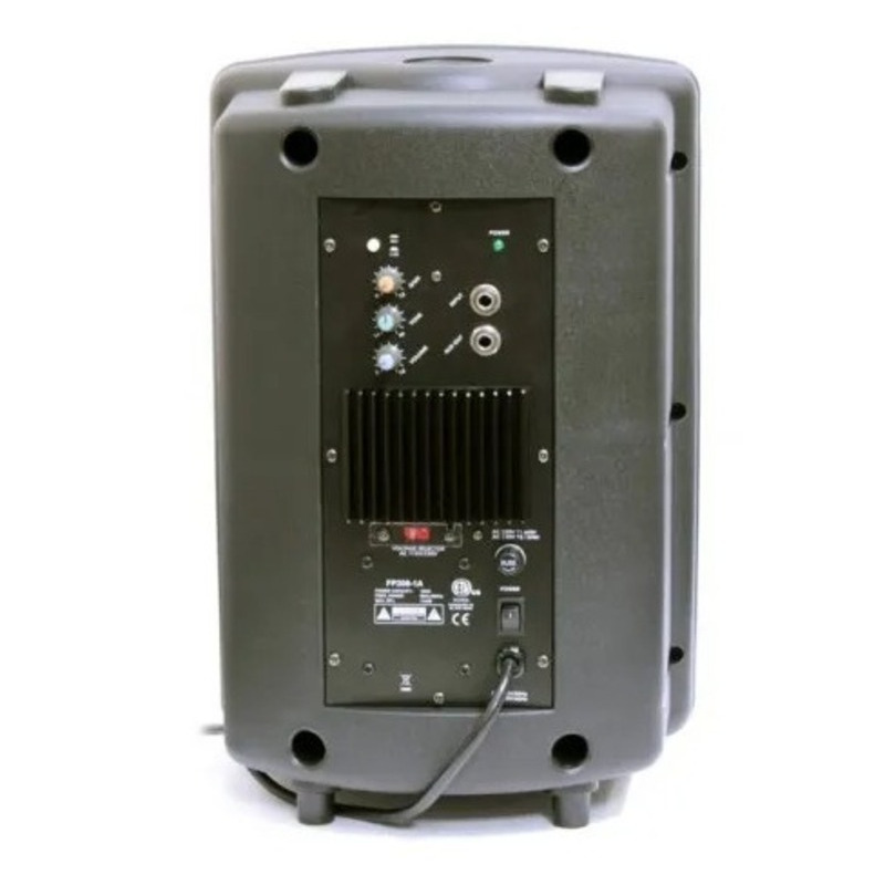 Акустическая система Soundking FP208A