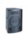 Акустична система Soundking FQ013A