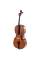 Виолончель STENTOR 1102/A STUDENT I CELLO OUTFIT 4/4