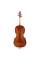 Виолончель STENTOR 1102/A STUDENT I CELLO OUTFIT 4/4