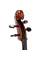 Виолончель STENTOR 1102/A STUDENT I CELLO OUTFIT 4/4