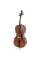Виолончель STENTOR 1102/C STUDENT I CELLO OUTFIT 3/4