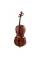 Виолончель STENTOR 1102/F STUDENT I CELLO OUTFIT 1/4