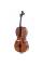 Віолончель STENTOR 1108/A STUDENT II CELLO OUTFIT 4/4