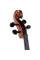 Віолончель STENTOR 1108/A STUDENT II CELLO OUTFIT 4/4