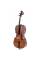 Виолончель STENTOR 1108/C STUDENT II CELLO OUTFIT 3/4
