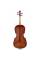 Виолончель STENTOR 1108/C STUDENT II CELLO OUTFIT 3/4