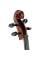 Виолончель STENTOR 1108/C STUDENT II CELLO OUTFIT 3/4