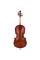 Виолончель STENTOR 1108/E STUDENT II CELLO OUTFIT 1/2
