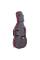 Виолончель STENTOR 1108/E STUDENT II CELLO OUTFIT 1/2