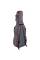 Виолончель STENTOR 1108/E STUDENT II CELLO OUTFIT 1/2