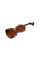 Электроскрипка STENTOR 1515A STUDENT II ELECTRIC VIOLIN OUTFIT 4/4