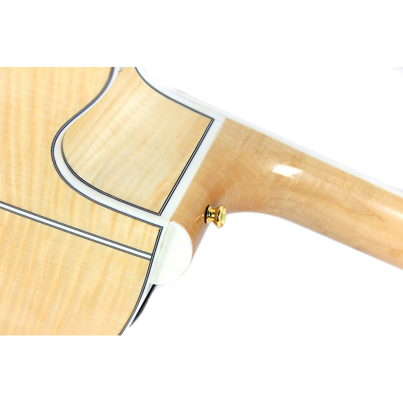 Електроакустична гітара Takamine GJ72CE-12NAT