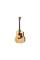 Электроакустическая гитара TAYLOR GUITARS 210ce PLUS