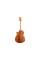 Электроакустическая гитара TAYLOR GUITARS 214ce-K DLX