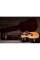 Электроакустическая гитара TAYLOR GUITARS 214ce-K DLX