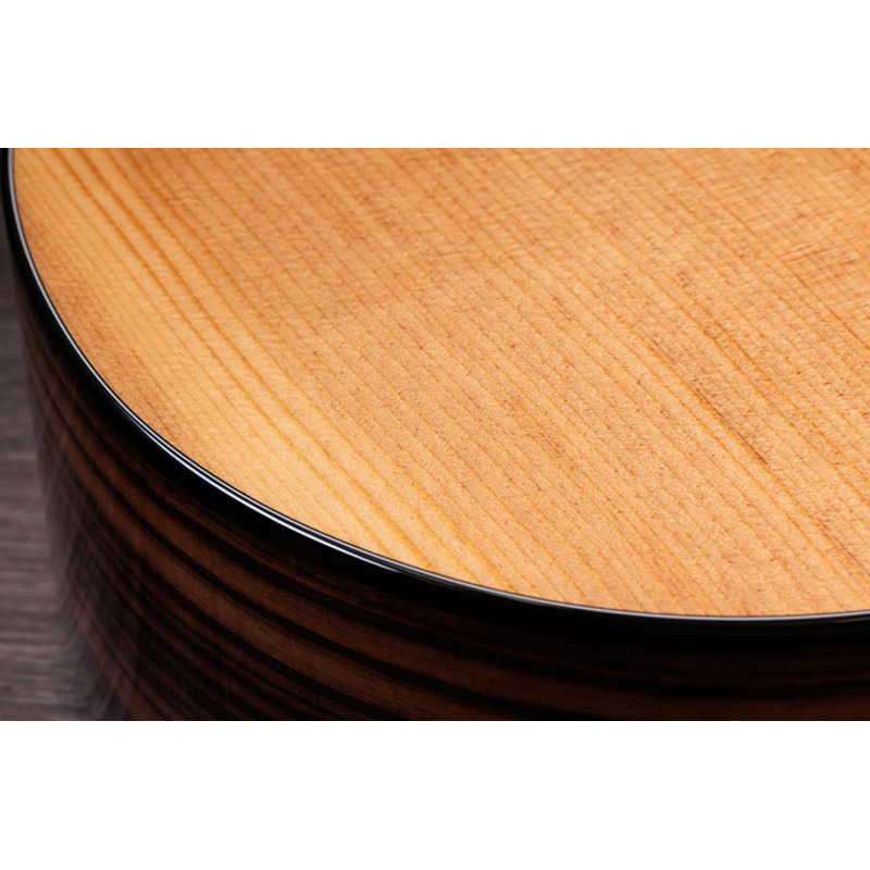 Електроакустична гітара TAYLOR GUITARS 214ce PLUS