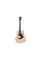 Акустична гітара TAYLOR GUITARS GS MINI SAPELE