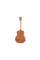 Акустична гітара TAYLOR GUITARS GS MINI SAPELE