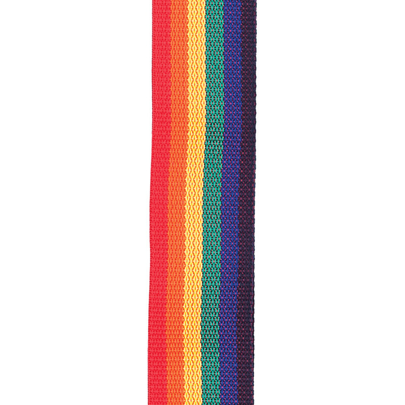 Ремень для гитары D'ADDARIO PWS111 POLYPRO GUITAR STRAP (RAINBOW)