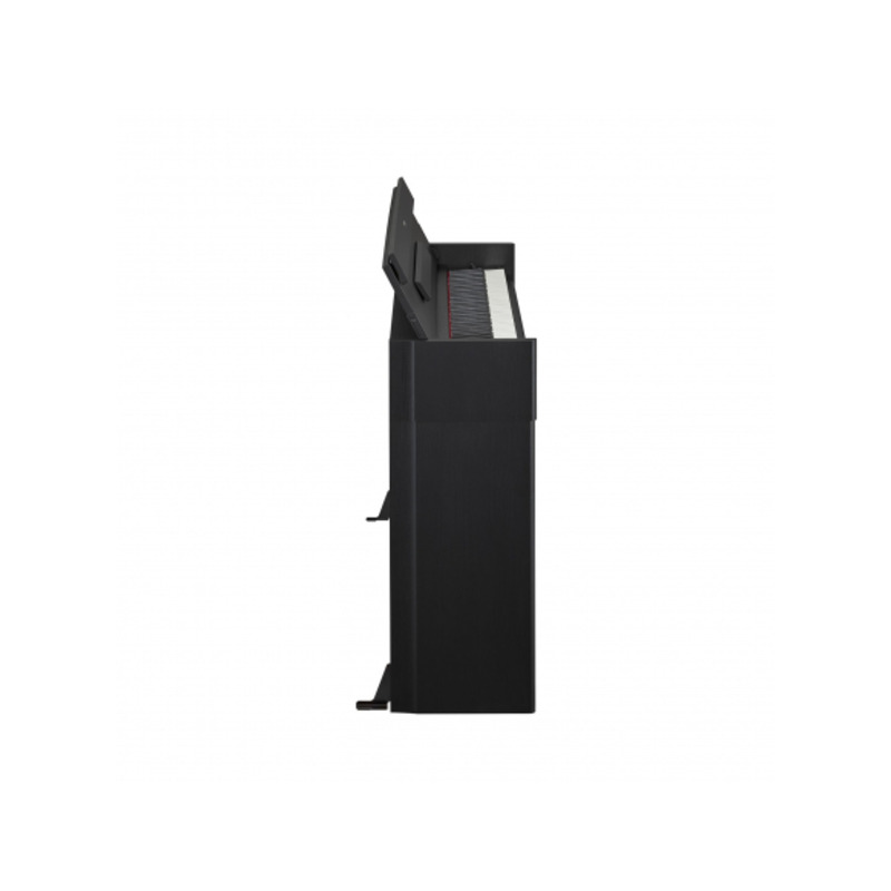 Цифровое пианино YAMAHA ARIUS YDP-S55 (Black)