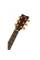 Электроакустическая гитара YAMAHA LL16M ARE (Natural)