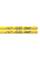 Барабанные палочки Zildjian ZASJD2 Josh Dun Artist Series Drumsticks Yellow